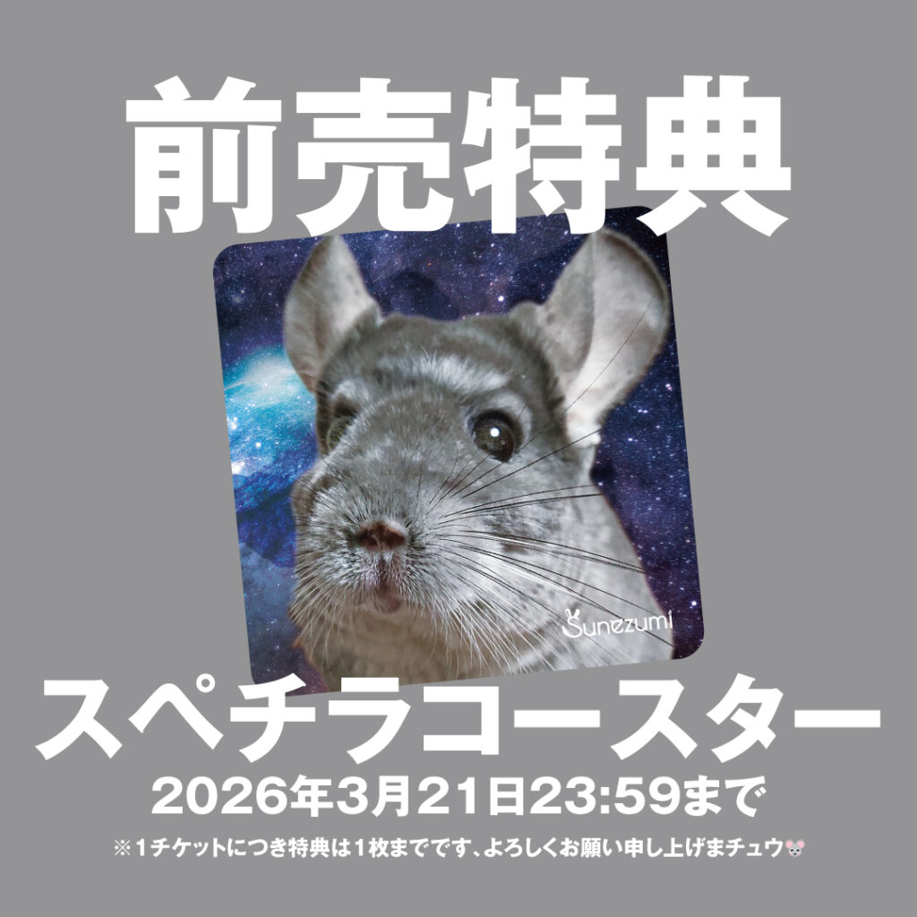 チンチラ mqdefault.jpg